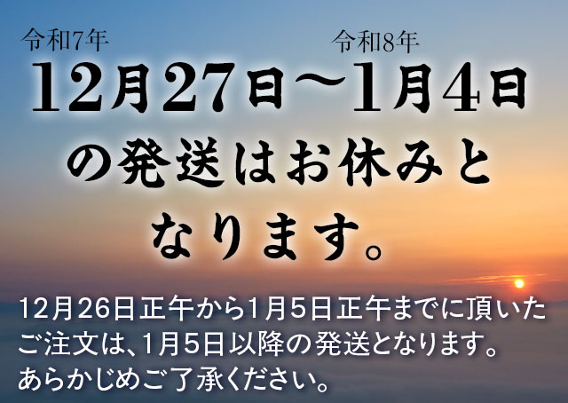 WAVEBOX販売元 公式Shop】AC電源でもDC電源でも使えるポータブル電子