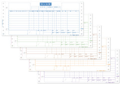 スポーツ統一伝票2型
