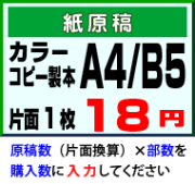 紙原稿からフルカラー冊子印刷 A4・B5 製本無料