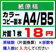 A4・B5カラーコピー冊子・紙原稿対応の製本込み印刷