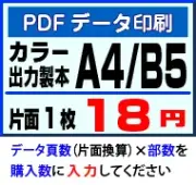 A4・B5カラー冊子印刷・PDF入稿・製本込みサービス