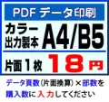 A4・B5カラー冊子印刷・PDF入稿・製本込みサービス