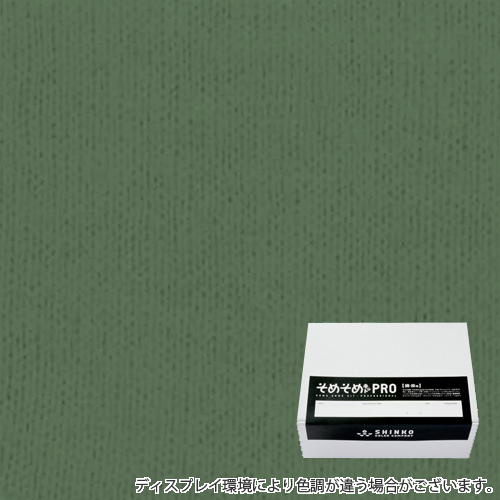 カクタスグリーン色に染める綿麻用の染色キット / そめそめキットPro 【S-0059】(pro-059)
