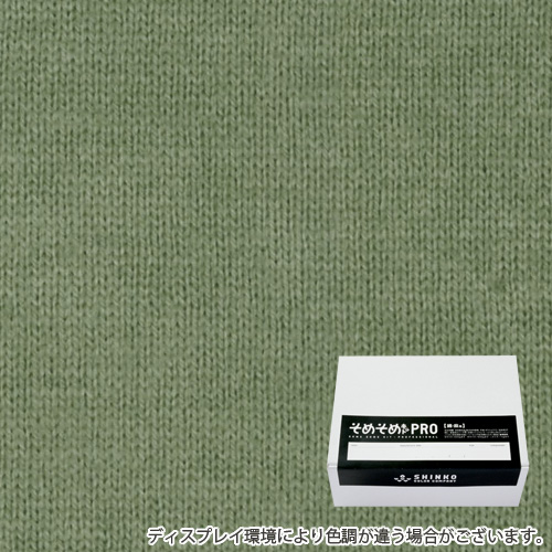 老竹色（おいたけ色）に染める綿麻用の染色キット / そめそめキットPro 【S-0054】