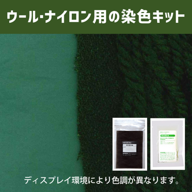 カクタスグリーン CACTUS GREEN 色に染めるウール・ナイロン用の染色キット /　そめそめキットPro【059】(25190-059)