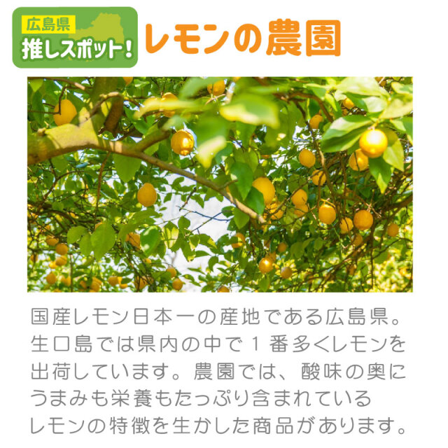 1000円ぽっきり 染めqの布版 布用絵の具 かけるくん 100ｇ 晴れやか瀬戸内のレモン 乾かすと洗濯ok 消しゴムハンコのスタンプインク 混色ok 硬くならない布用塗料 染料 塗料 ペイント 衣装