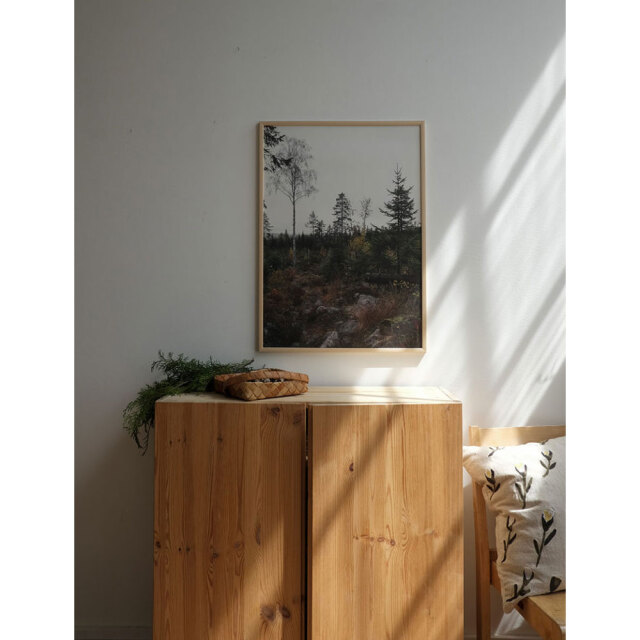 Fine Little Day/ファインリトルデイ/ポスター[50x70cm]/NORRLAND