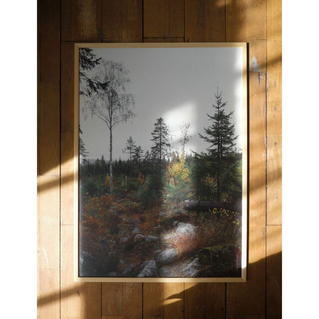Fine Little Day/ファインリトルデイ/ポスター[50x70cm]/NORRLAND