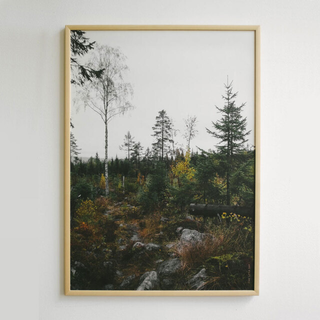 Fine Little Day/ファインリトルデイ/ポスター[50x70cm]/NORRLAND