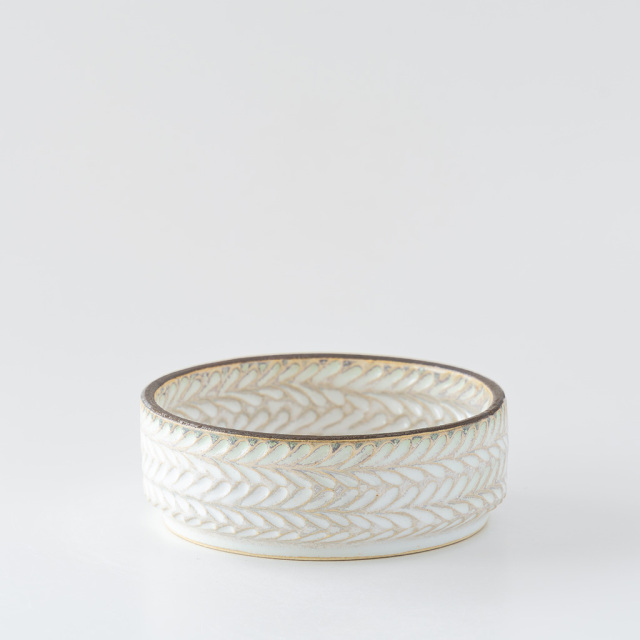 はしもとさちえ｜フラットプレートM