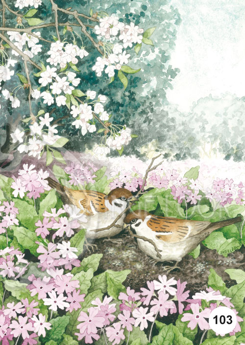 Inge Look インゲ・ルーク｜ポストカード Garden［101-121］
