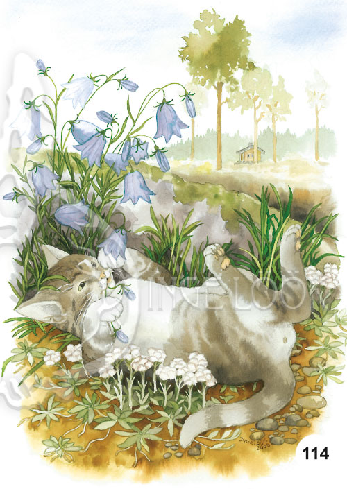 Inge Look インゲ・ルーク｜ポストカード Garden［101-121］