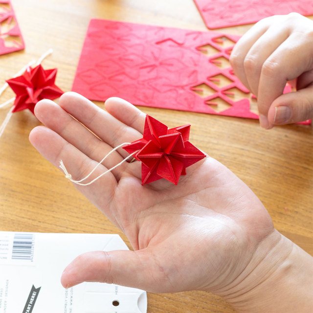 Lovi/ロヴィ/スター 5cm[6個入り]