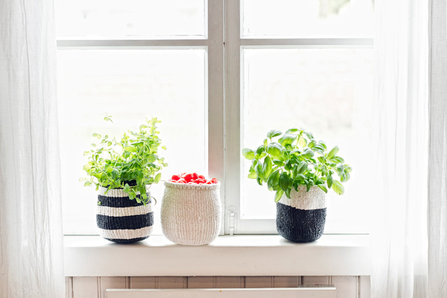 Mifuko ミフコ｜Kiondo バスケット［サイザル麻×再生プラスチック］XSサイズ