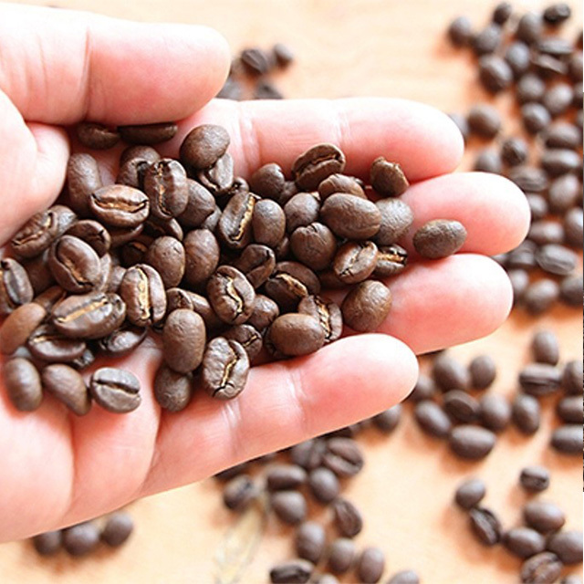 TCLコーヒー/スペシャルティコーヒー COMFOTA 北欧雑貨店