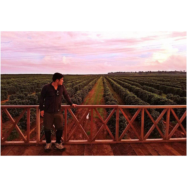 TCLコーヒー/スペシャルティコーヒー COMFOTA 北欧雑貨店