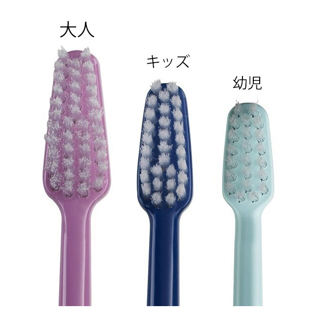 TEPE/歯ブラシ