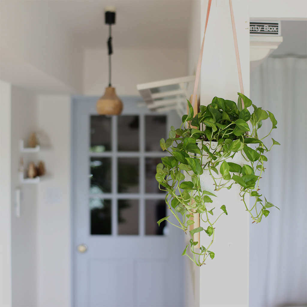 Mifuko/Kiondoサイザルバスケット(S)[革ロングハンドル]