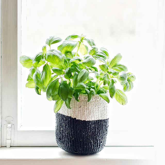 Mifuko/Kiondoバスケット/XS