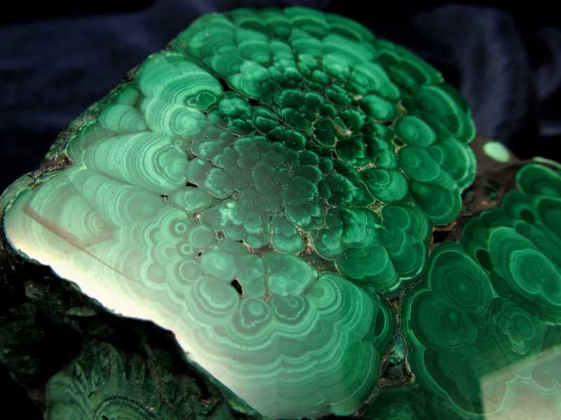 ぱっと広がるレアモノフラワータイプ マラカイト ハーフポリッシュ原石 専用木製台座付き 高さ約91mm 重さ約572g 美麗繊細天眼模様 深みのあるグリーン