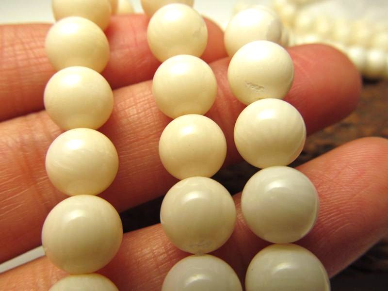 ホワイトコーラル 8mm珠 一連 約38-40cm 美品 珊瑚 極上 天然石 ビーズ パワーストーン rn-p パワーストーン 天然石
