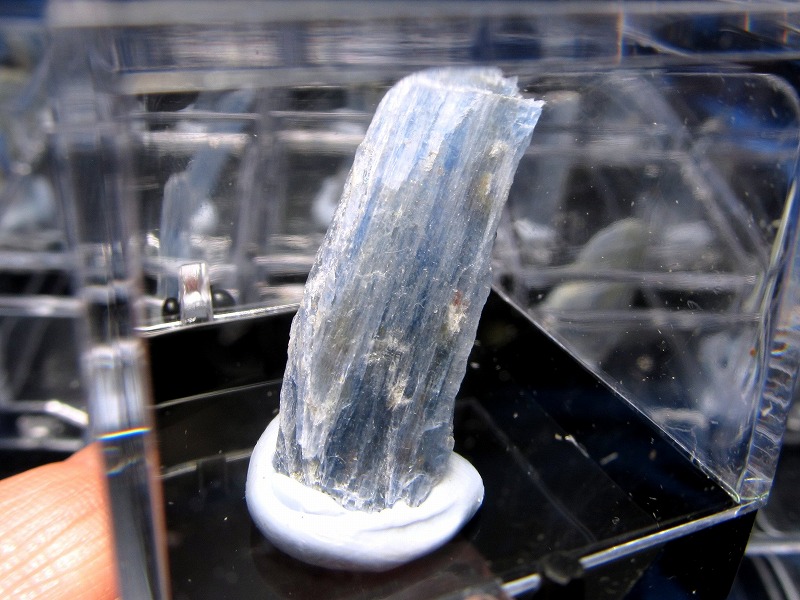 ミニチュア原石シリーズ カイヤナイト 原石 ケース付き コレクションや標本に 独立心や探究心を強める石 藍晶石 ブラジル産 パワーストーン 天然石