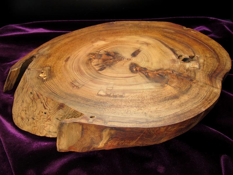 家康公 見返りの大杉 台座 全幅約278mm 重さ680g 樹齢450年の杉使用 置物や原石のディスプレイに 天然木製楕円型・原石用台座 一点もの 9回目の3個中の1番