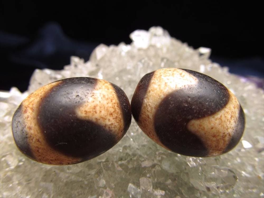 最高級 至純黒朱砂馬蹄痕 虎牙天珠 こがてんじゅ 全長約20mm前後 1個売り ギャンブル必勝・強運獲得・競争勝利 ころんと可愛いミニ天珠 パワーストーン 天然石