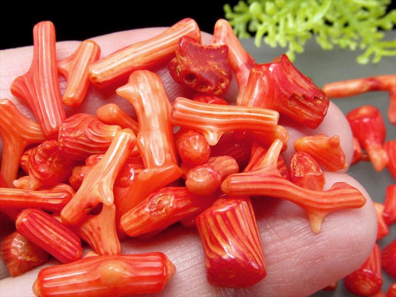 海底からの贈り物 レッドコーラル 赤珊瑚 さざれ 小粒タイプ 100グラム 粒の大きさ 約4ミリ-15ミリ 厄除けや子宝の御守りに ナチュラル感たっぷりの赤サンゴ