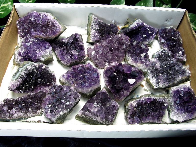 限定6箱 濃厚ウルグアイ産お得セット 4A アメジスト クラスター フラットタイプ