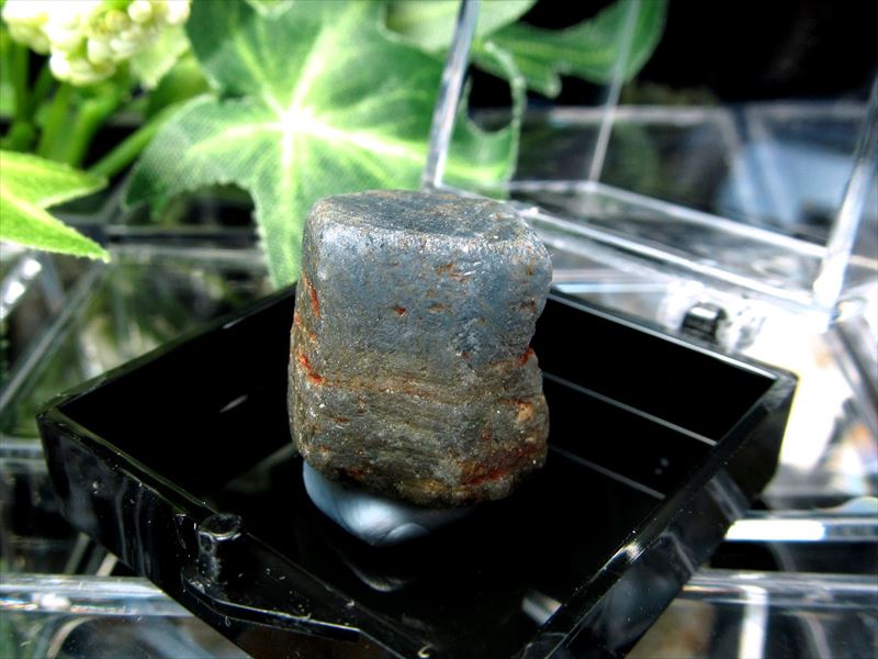 ミニチュア原石シリーズ 天然サファイア ラフ原石 ケース付き コレクションや標本に 群青色 世界4大宝石の1つ 勝利を呼ぶ石 ミャンマー産 パワーストーン