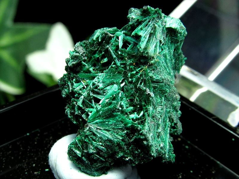 ミニチュア原石シリーズ マラカイト 原石 ケース付き 心身の癒しに コレクションや標本に コンゴ産 パワーストーン 天然石