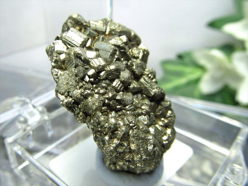 ミニチュア原石シリーズ パイライト 黄鉄鉱 原石 ケース付き ギラギラ 迫力満点 コレクションや標本に ペルー産 パワーストーン 天然石