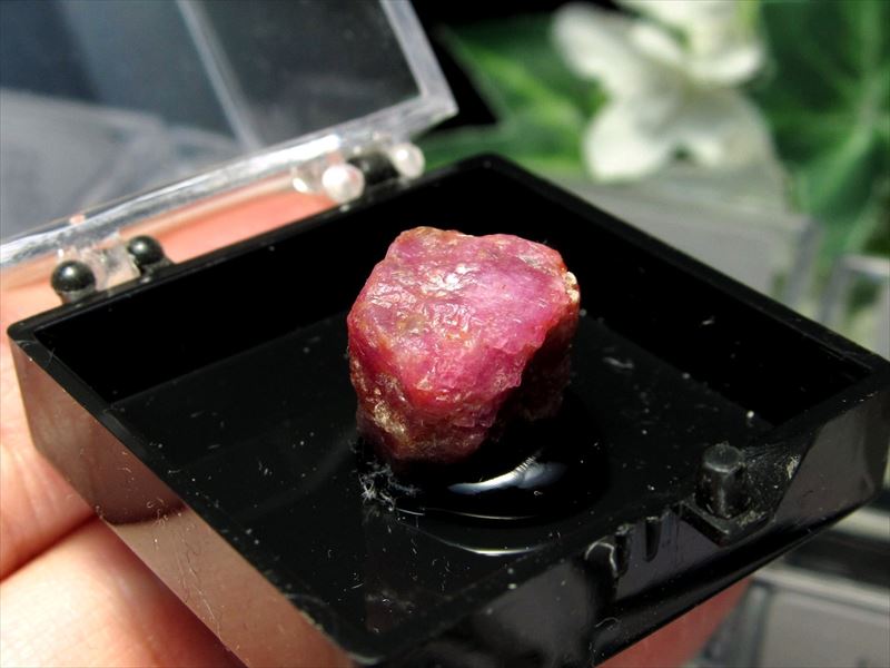 ブラックライトで光る ルビー 原石 ケース付き 宝石の女王 勝利と情熱を象徴する石 コレクションや標本に ミニチュア結晶原石 紅玉 アフリカ産