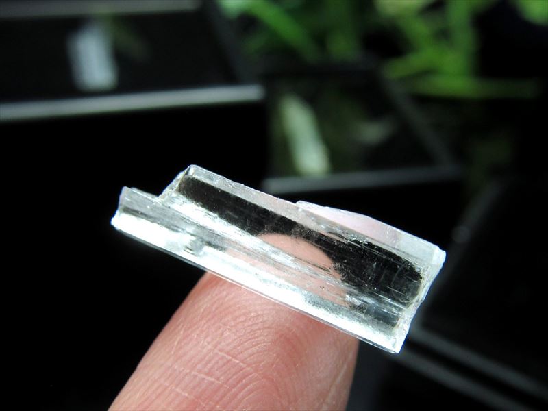 アクアマリン結晶 原石 ケース付き 最大幅約10mm-25mm コレクションや標本に 幸せな結婚を象徴 天使の石 パキスタン産 パワーストーン 天然石