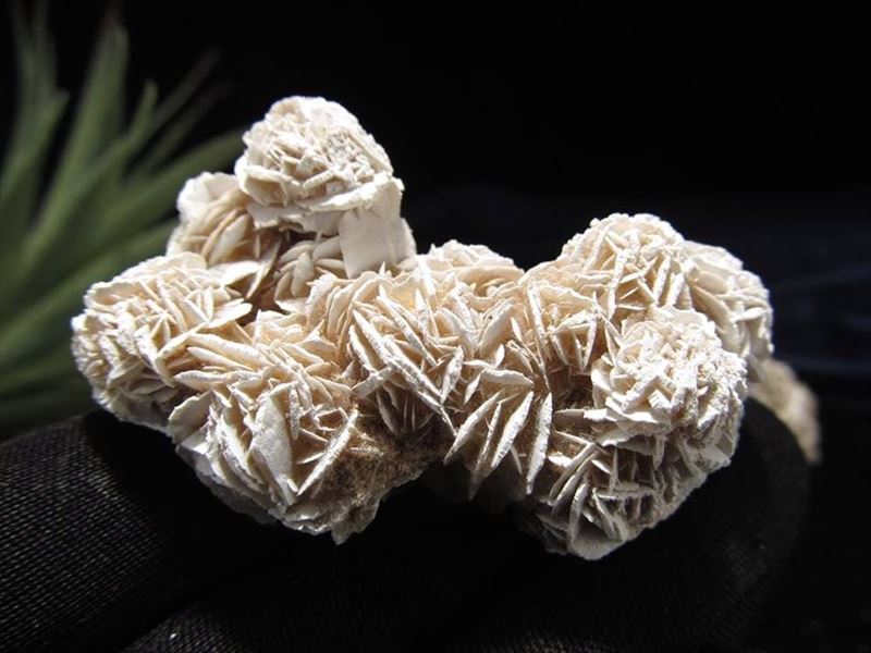 クラスタータイプ デザートローズ ジプサム・ローズ 重さ約20g-40g 1個売り 大自然のアート 砂漠のバラ メキシコ産 パワーストーン 天然石