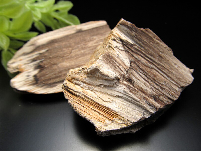 リアル木の化石 珪化木 原石 重さ120g-140g シリカ化した木の化石 神秘なる大自然の力 ウッドストーン 博愛・真心・希望 木の化石