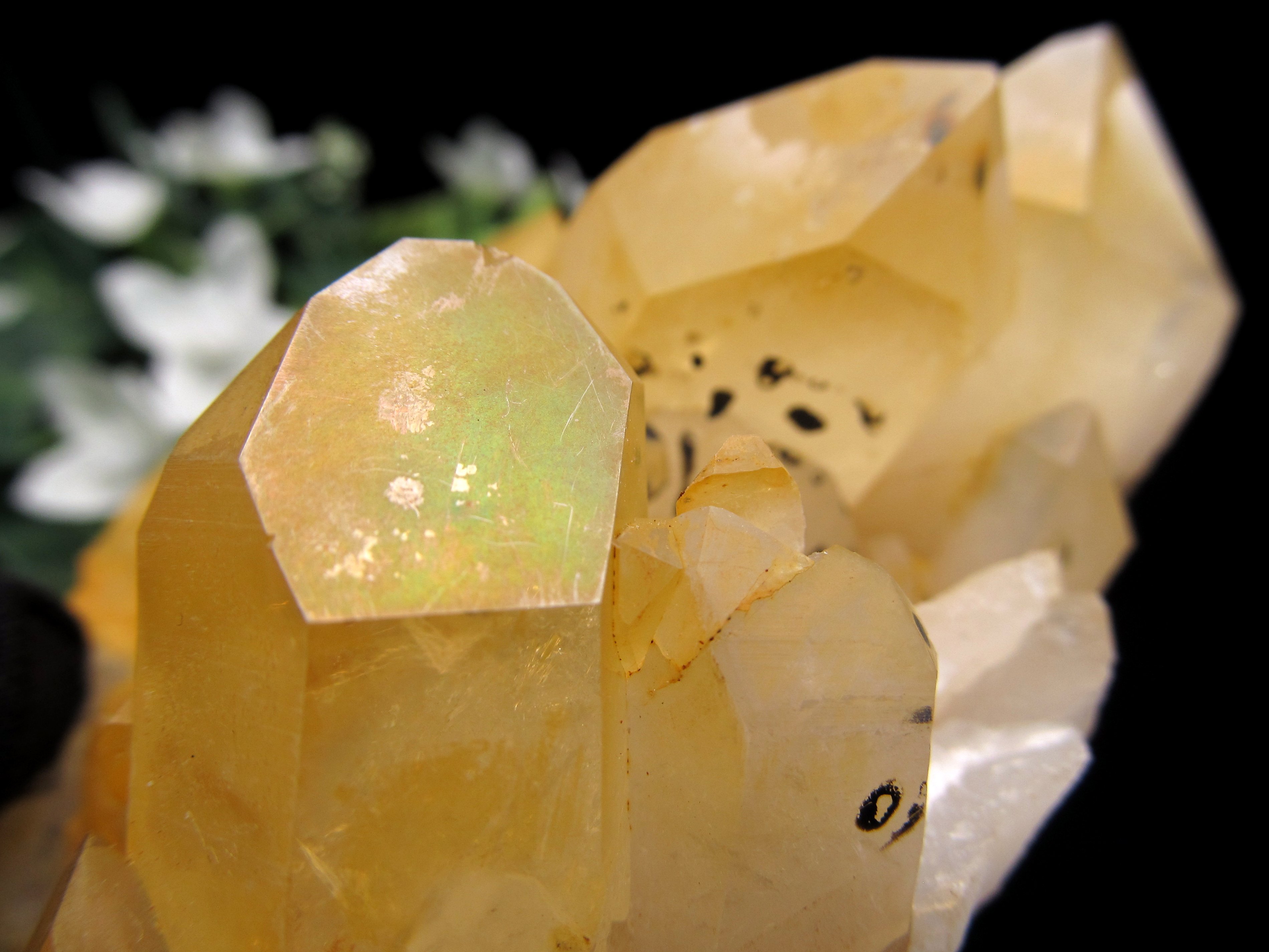 ヒーリングストーンの象徴 ゴールデンヒーラー クラスター 最大幅100mm 重さ199g ギャランティーカード付 アーカンソー州より産地直送 極上