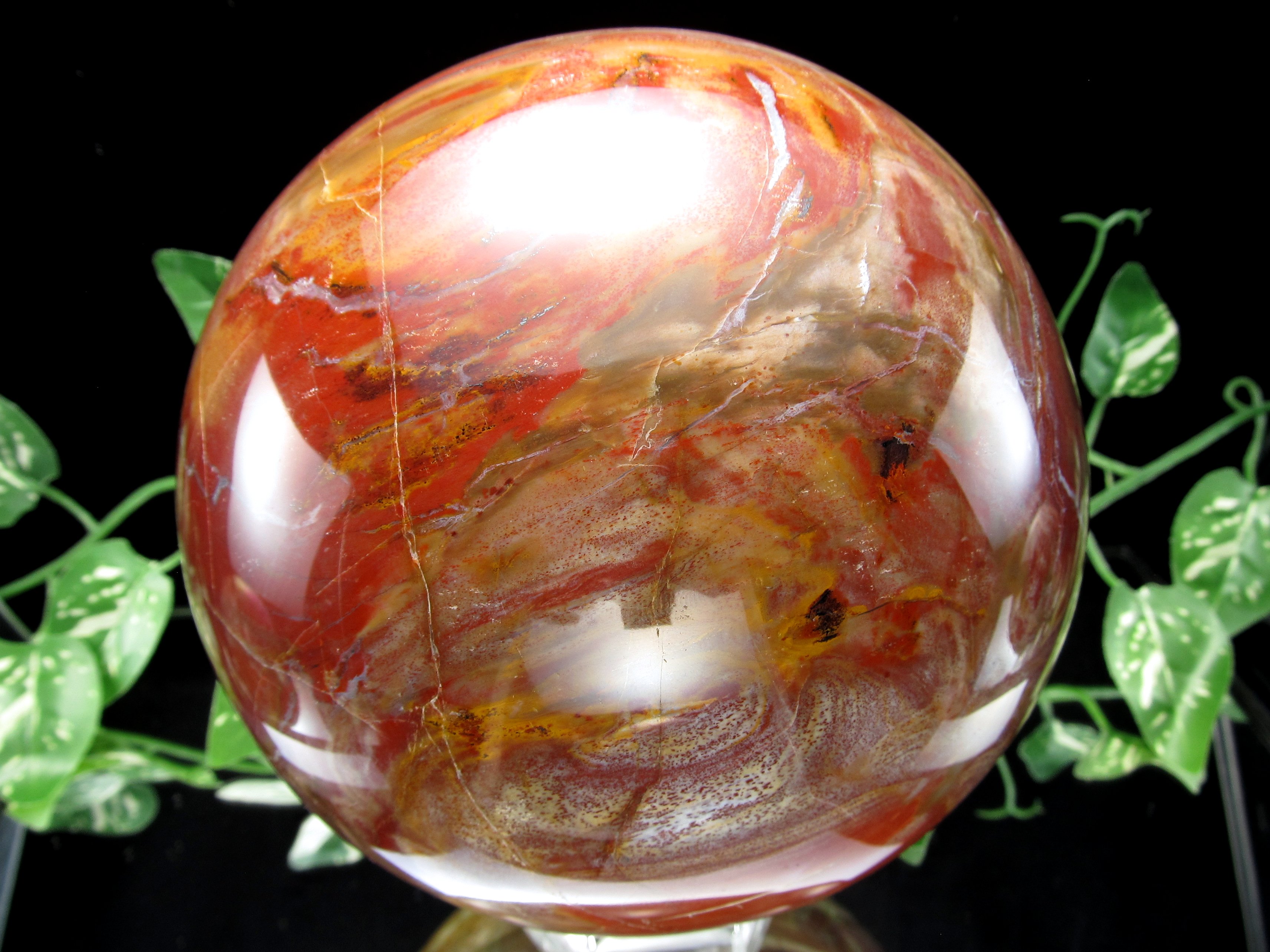 店頭展示中 迫力の大玉 珪化木 ペトリファイドウッド 丸玉 台座付 重さ4040g 直径144mm 木の化石 自然を愛する全ての方に マダガスカル産 パワーストーン