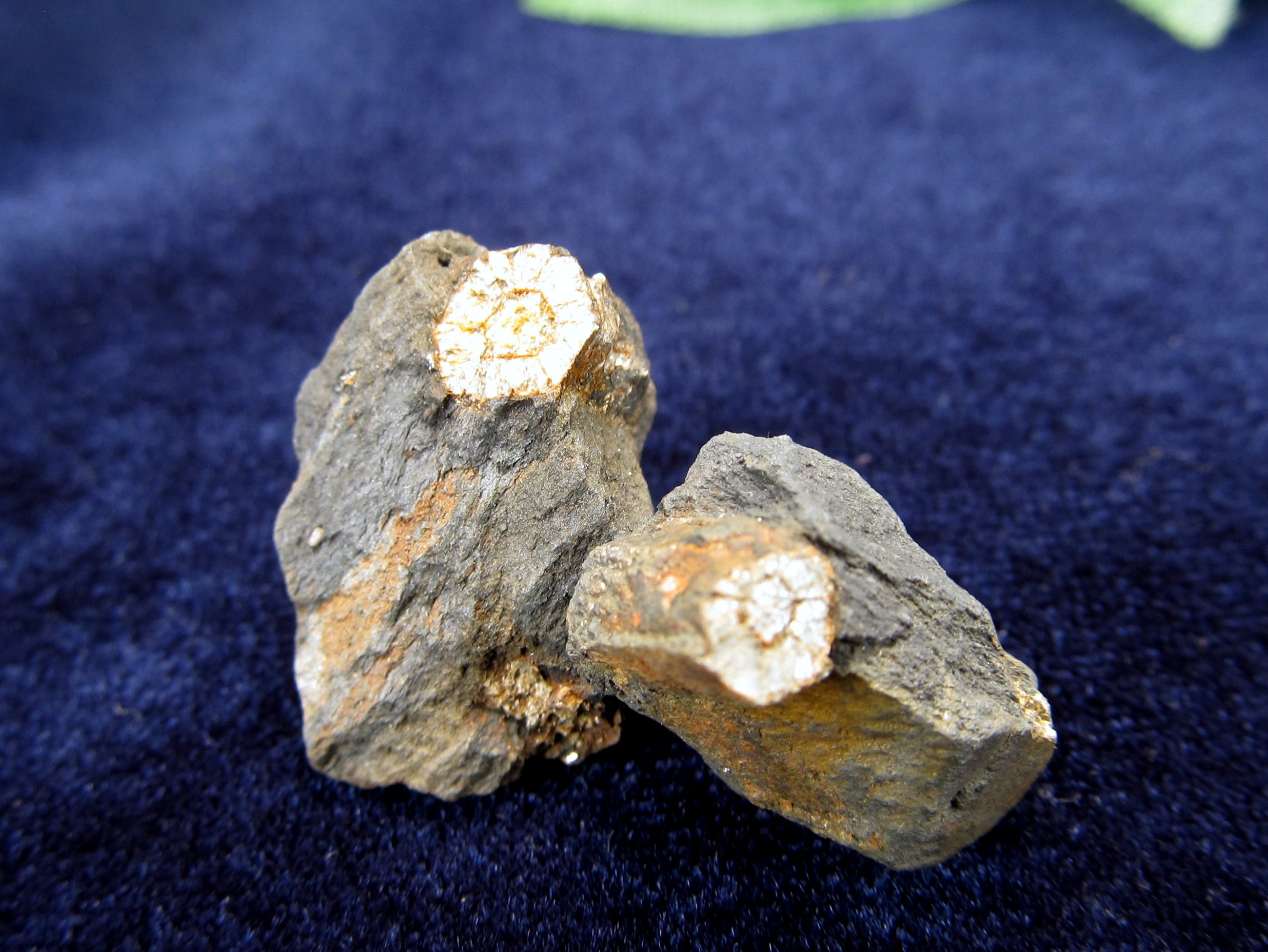 レア国産原石 桜石 原石 2個セット 重さ4g 京都府を代表する石 古くから人々を魅了し続けてきた国産鉱物 亀岡の桜石 菫青石仮晶 京都府産