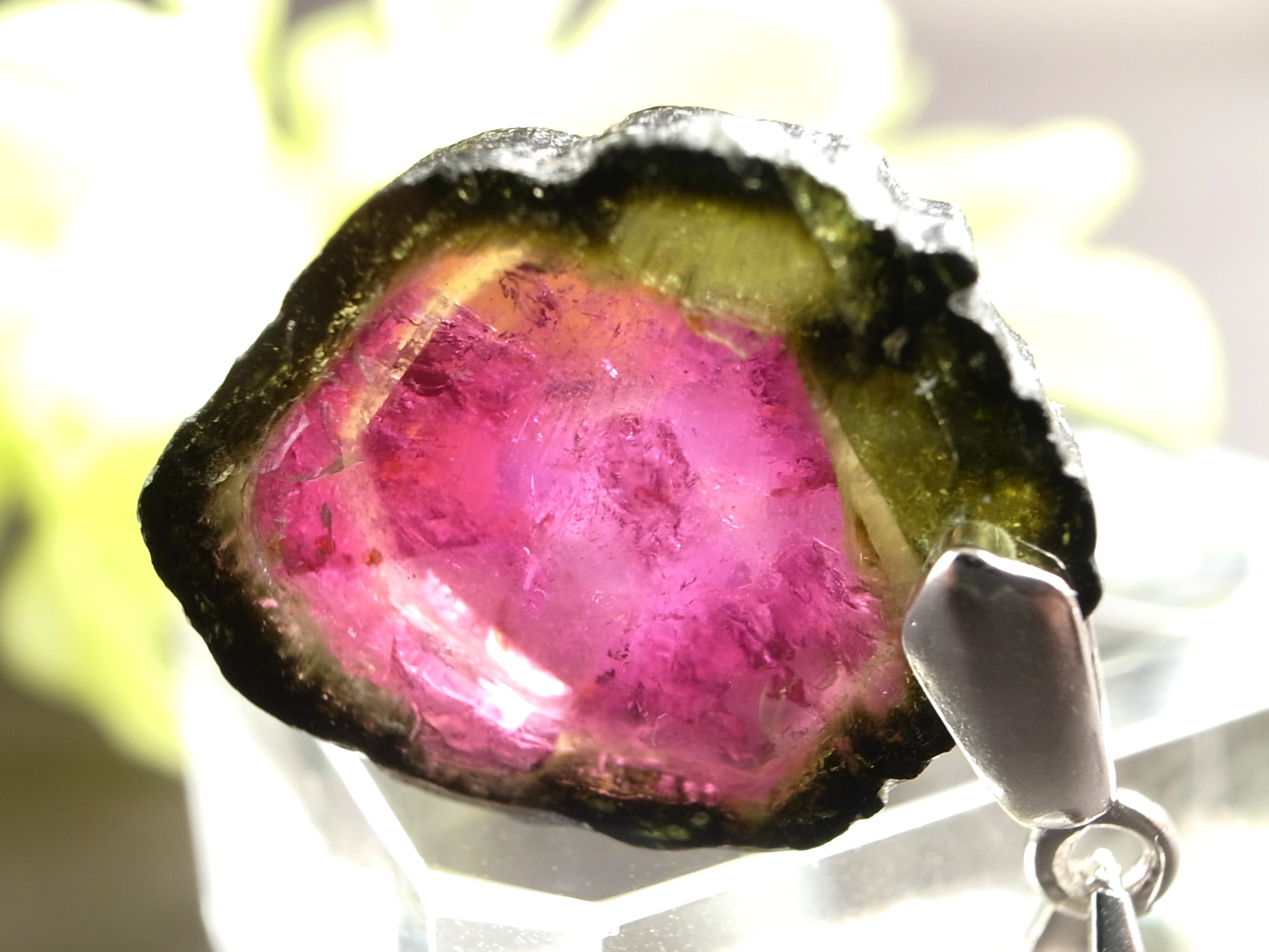 ロイヤルクラス ウォーターメロントルマリン ペンダントトップ 重さ約2.4g 希少なバイカラートルマリン 濃厚カラー 電気石 Silver925 一点もの ブラジル産
