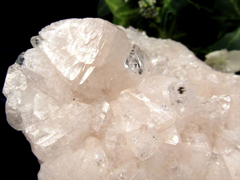 瑞々しいピンクカラー アポフィライト 魚眼石 クラスター原石 最大幅約122mm 重さ約193g ゼオライトグループの結晶鉱物 強力な浄化の石一点物 インド産