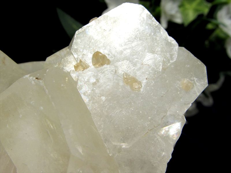 ほんのりグリーン アポフィライト 魚眼石 クラスター原石 最大幅約72mm 重さ約276g 第三の目を開く 強力な浄化の石 ゼオライトグループの結晶鉱物 天使の水晶