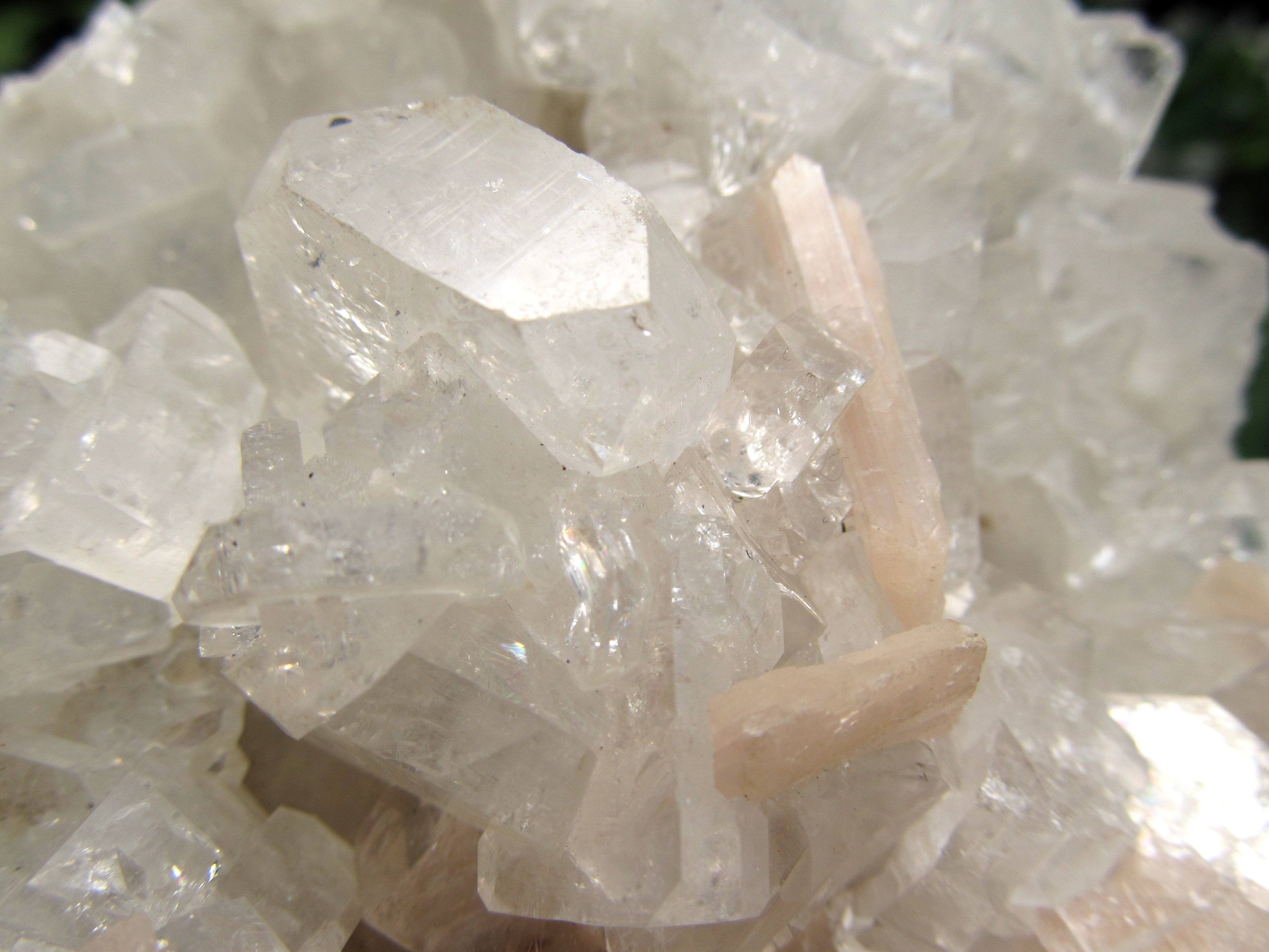 スティルバイト共生 魅惑のアジャンタ アポフィライト クラスター原石 最大幅約98mm 重さ約429g 第三の目を開く 強力な浄化の石