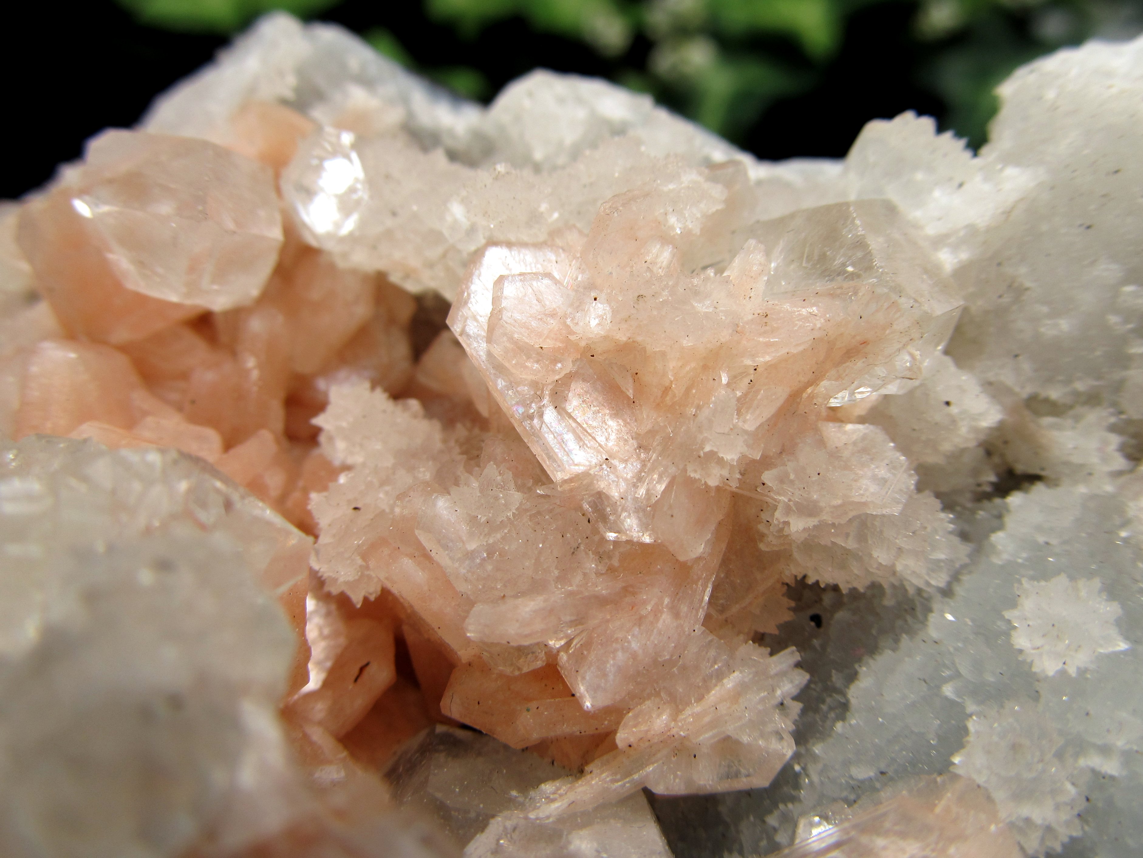 スティルバイト共生 魅惑のアジャンタ アポフィライト クラスター原石 最大幅約112mm 重さ約190g 第三の目を開く 強力な浄化の石