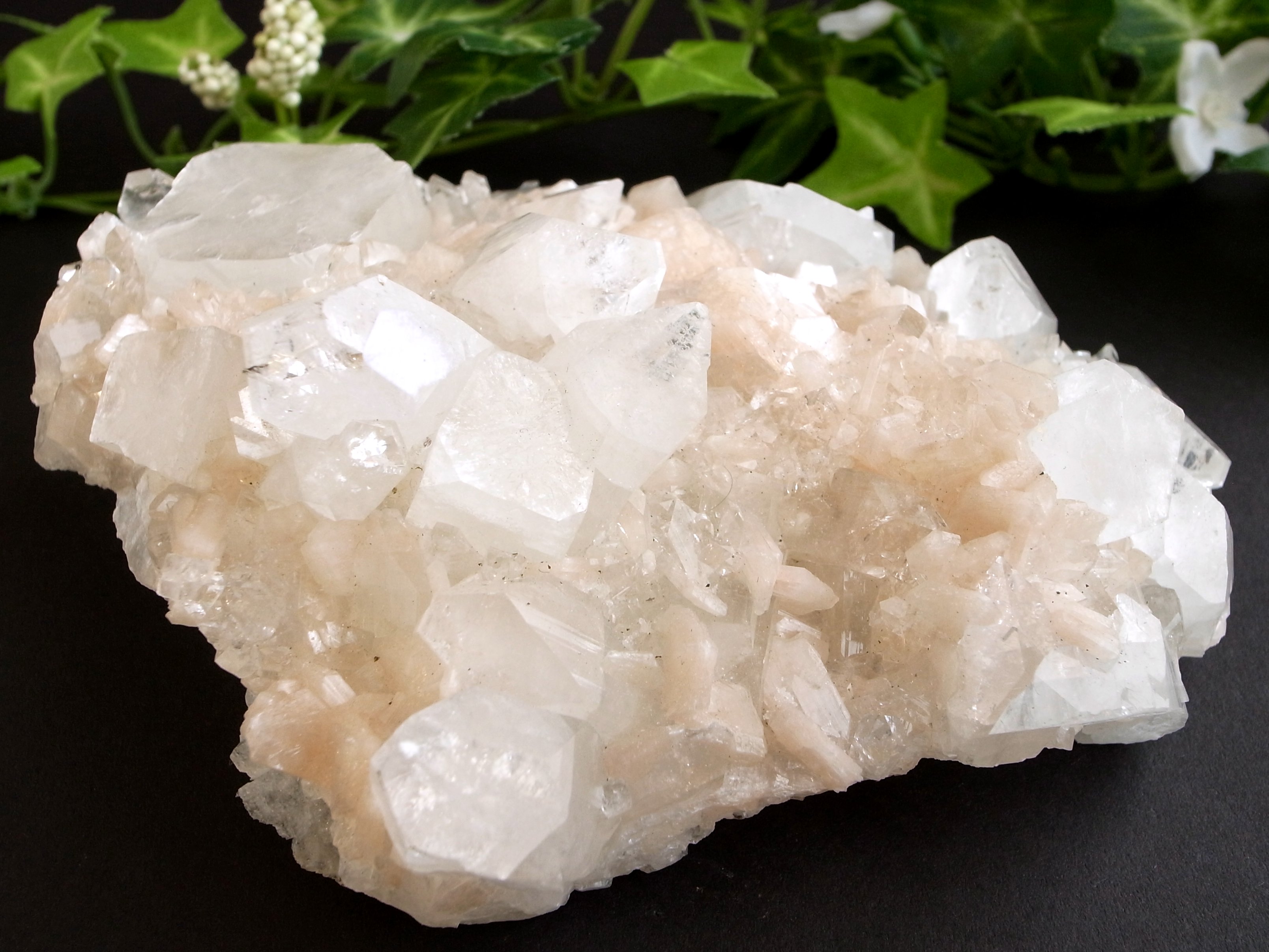 4A アポフィライト 魚眼石 クラスター原石 最大幅134mm 重さ369g 麗しい結晶群 直観力や洞察力を高める石 天使の水晶 第三の目を開く 点もの インド産