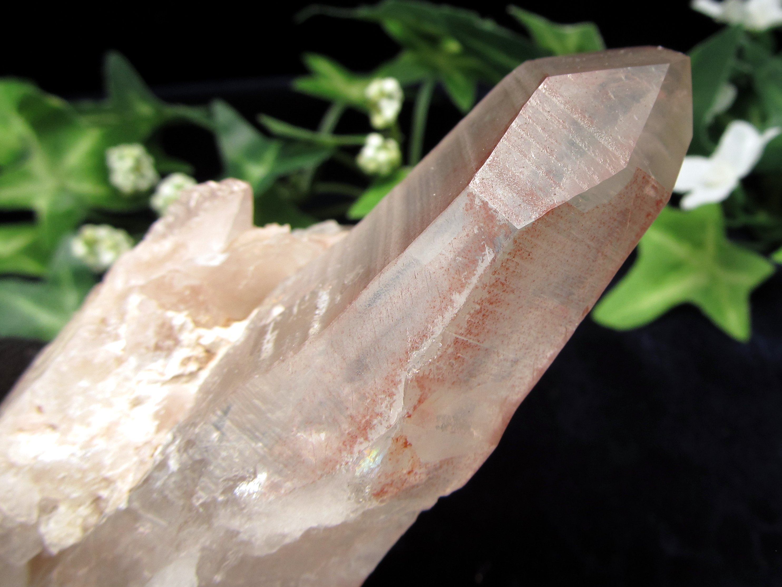 ギャランティーカード付 ピンク レムリアンシードクリスタル 最大幅 約113mm 重量 216g 少量限定入荷 古代の叡智を封じ込めた水晶 別名シンギングクリスタル