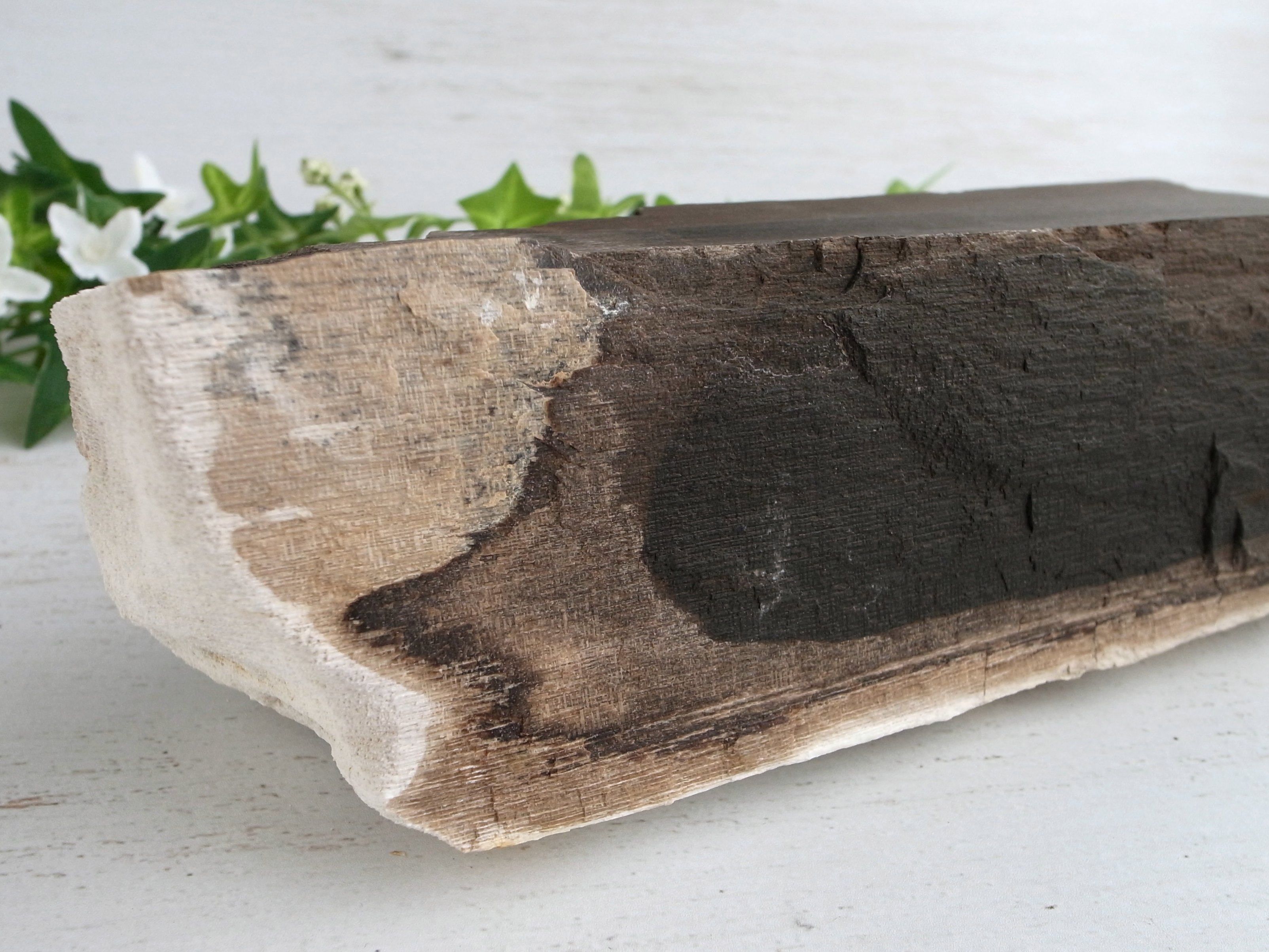 リアル木の化石 珪化木 原石 重さ2166g シリカ化した木の化石 神秘なる大自然の力 ウッドストーン 博愛・真心・希望 木の化石 岐阜県美濃加茂市蜂屋町上蜂屋産