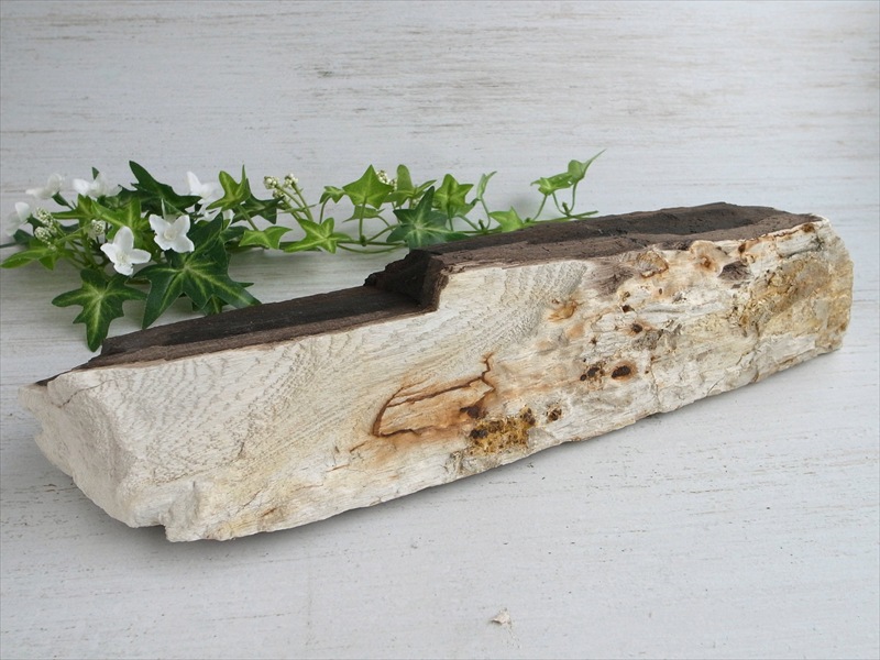 リアル木の化石 珪化木 原石 重さ2908g シリカ化した木の化石 神秘なる大自然の力 ウッドストーン 博愛・真心・希望 木の化石 岐阜県美濃加茂市蜂屋町上蜂屋産