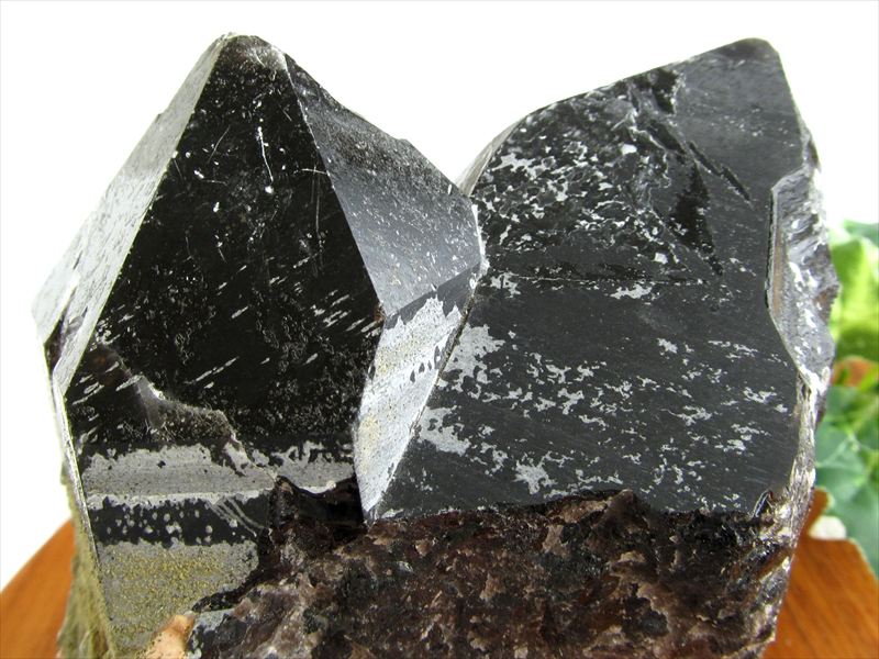 天然の黒光り 天然 黒水晶 モリオン クラスター原石 重さ934g 最大幅約102mm 大自然の力強さを感じる漆黒の水晶 どっしりとした太め結晶